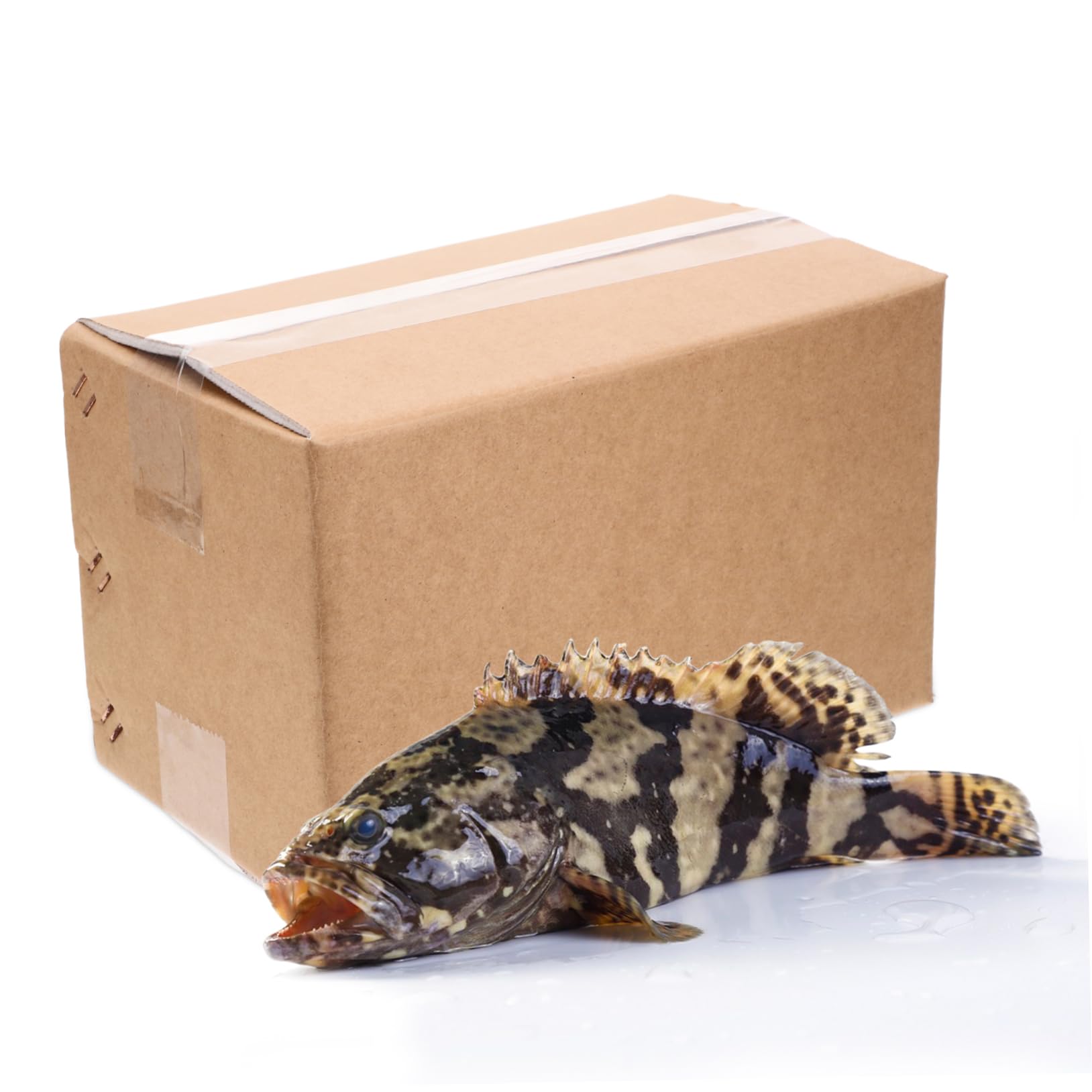 Caja De Envío Aislada De Papel De Aluminio Para Mariscos Reutilizable Para Congeladores Grandes Cajas De Almacenamiento En Frío