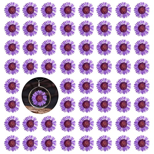 60 flores secas de crisantemo en aguja moradas para resina miniatura 1