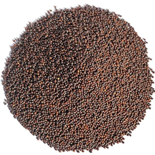 A É uE }X^[h V[h C ` XpCX n[u Ɩp mustard F JVi 炵 hq Hq (250g)