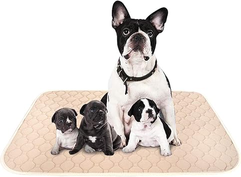 Amazon ペットシーツ 洗える 猫 犬用 おしっこパッド ペット用 トイレ下敷きマット 速乾 洗える 大判サイズ 多頭飼いに最適 ベージュｘｌ 二枚セット Uligota パッド 床保護シート 通販