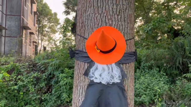 Audasi Halloween Hexen Deko - Fliegende Hexe Zum Aufhängen Für Garten & Hof