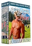 Cowboy Romance Dept,Gold Crown Press