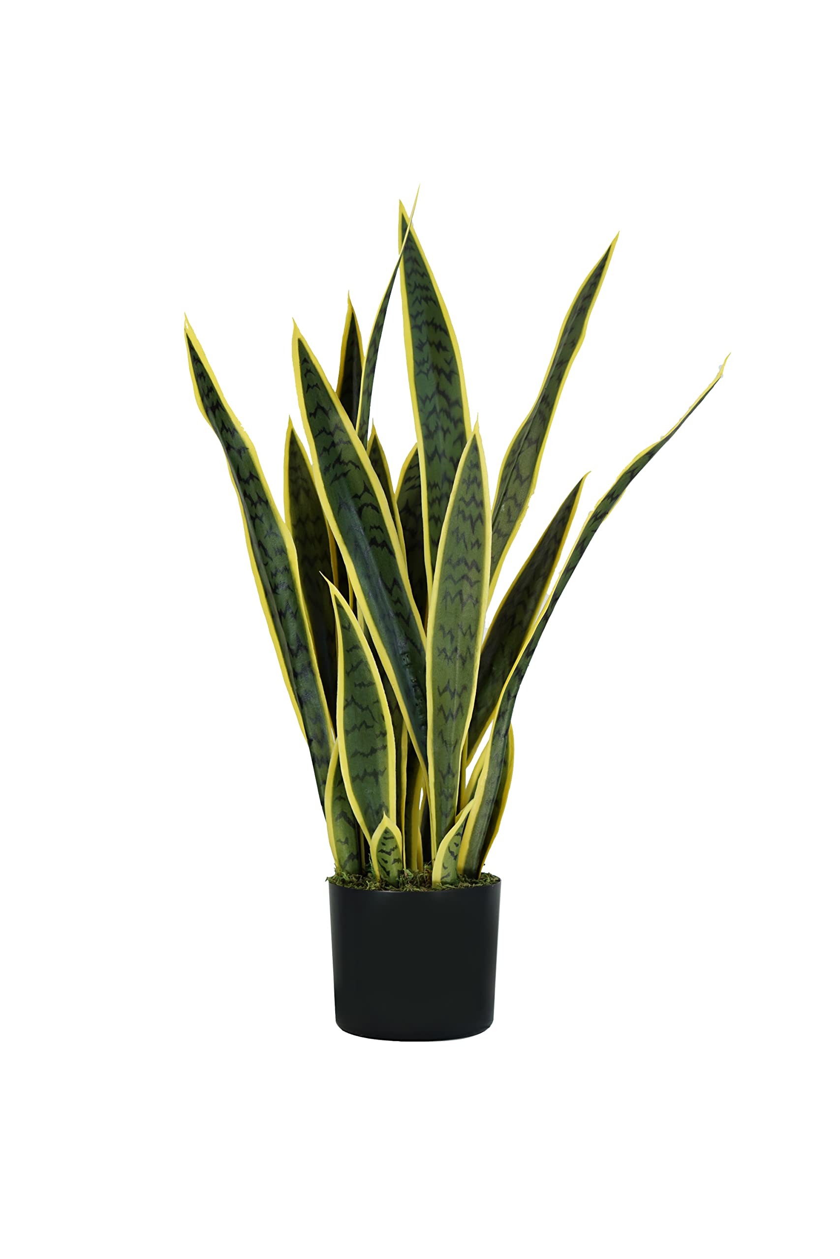 King Collection PIANTA SANSEVIERIA H. 75 cm 21 FOGLIE