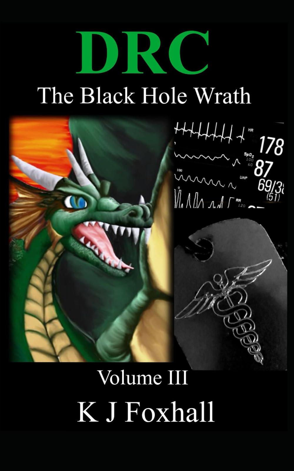 The Dragon Realm Chronicles - The Black Hole Wrath