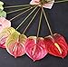 Rikyo 5Pc 24in/61cm Artificial Anthurium Lily Flowers Permanent for Home Decor Bouquet for Home Bridal Wedding Festival Party,Crafts,Store Decor Small Flower Bouquet Accessories(Light Pink)
