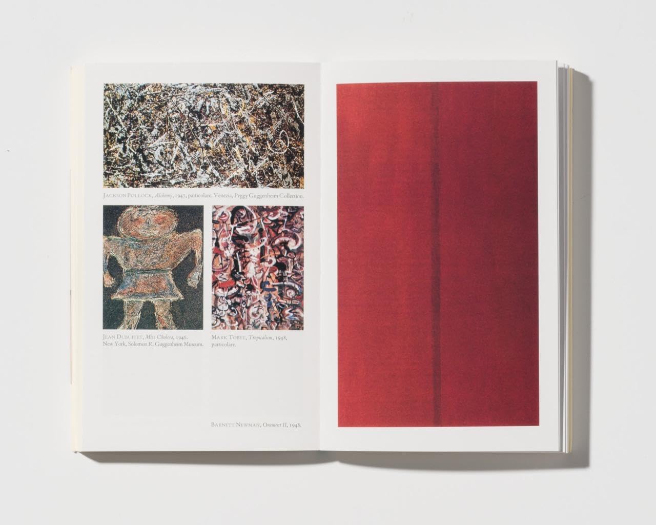 Capire l’arte contemporanea. Manuale illustrato sull’arte dal dopoguerra a oggi. Guida per studenti e appassionati. Ediz. a colori