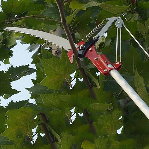 Miniatura 9 de Herramienta de corte de poda de jardín, podadora, podadora de alta altitud, árbol de 14 pulgadas para tijeras de podar, cortadoras de utensilios,
