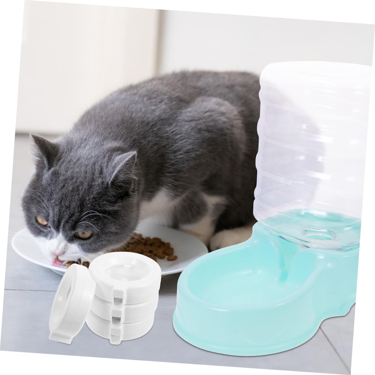 Trinkbrunnenfilter Für Haustiere 8 Stücke Zubehör Für Wasserspender Ersatzfilter Für Katzenbrunnen Installieren