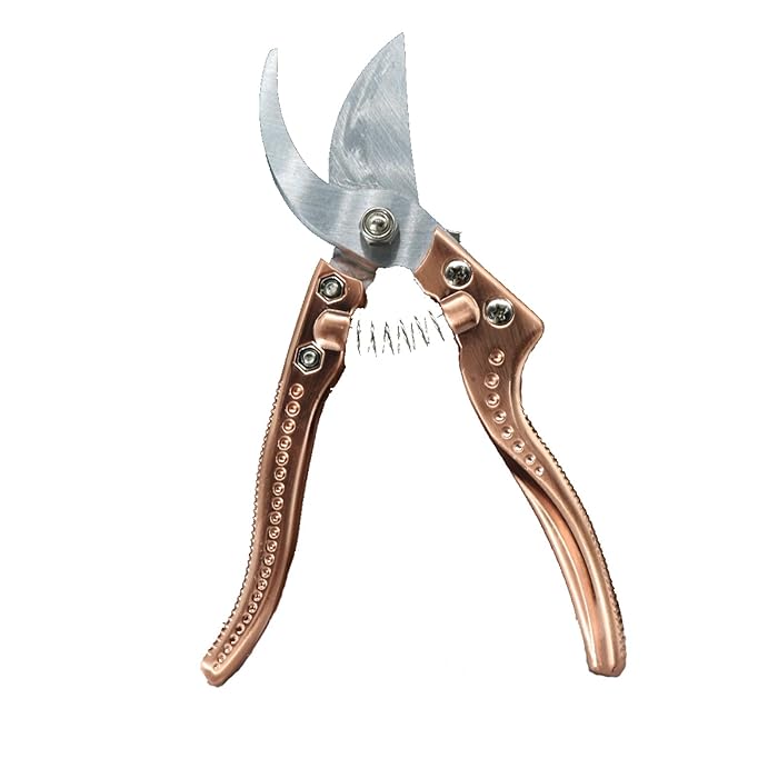 Buy K KLEZHI Professional Sharp Pruners, Tree Trimmers Secateurs