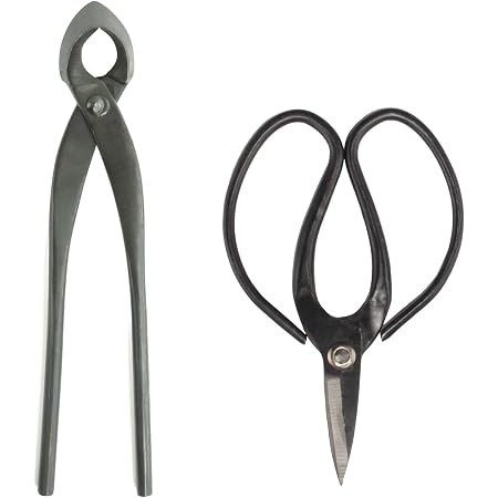 5-Piece Bonsai Tool Set - Root Rake, Shear, Root Pick, Moss Brush, Carbon Steel, Lifetime Warranty 3 thumbnail image