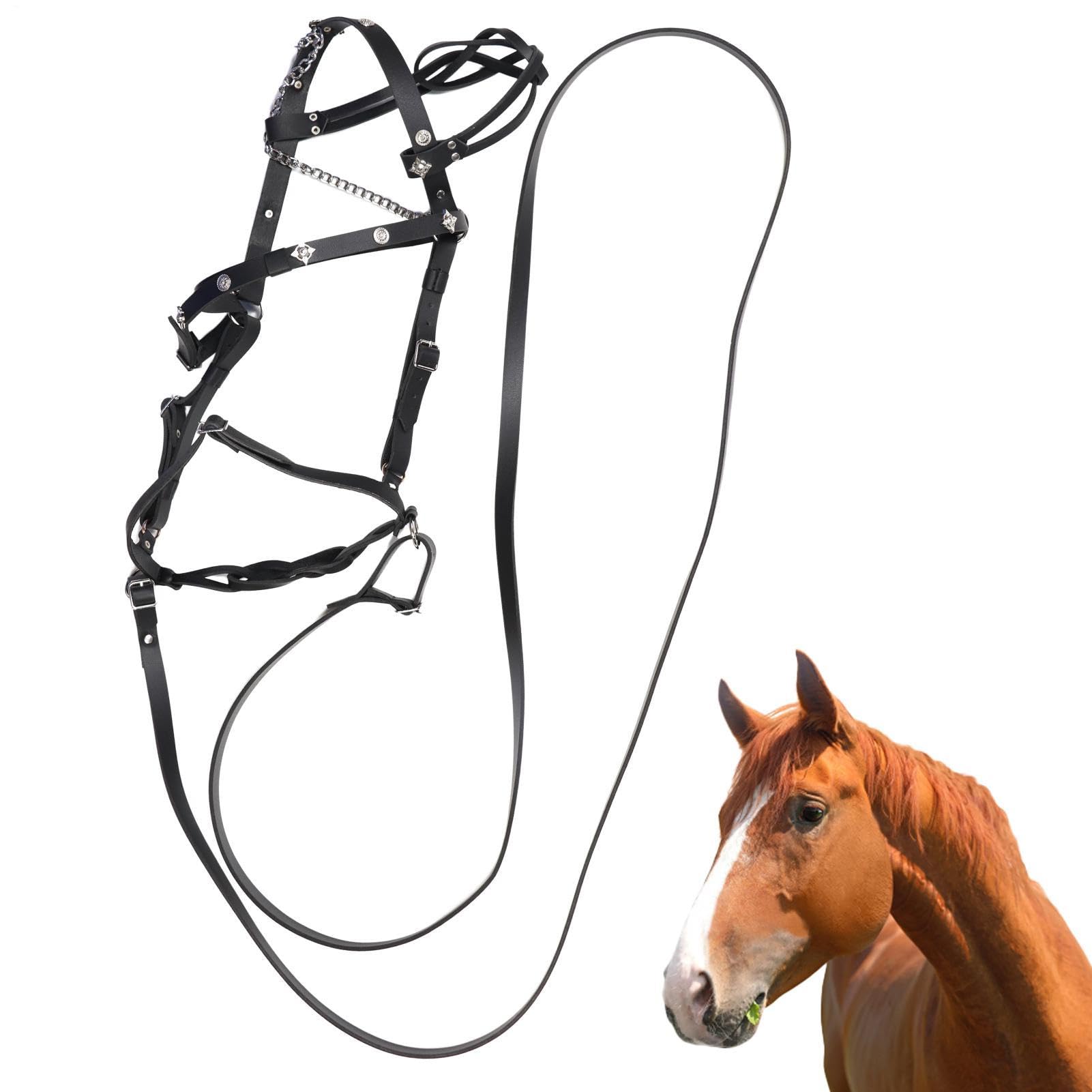 Generisch -Cabestro de cuero - Soportes ajustables - Correa para caballos |