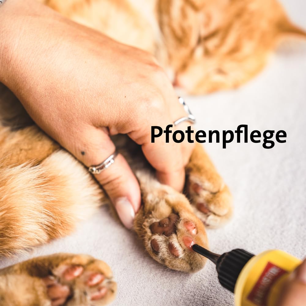 Ballistol Unisex – Erwachsene Animal Tierpflege-Öl 500ml Dose, Farblos, 6 Stück | Flüssiges Tierpflegeöl, Huf-, Schweif- und Fell-Pflege für Hund, Katze, Pferd, Hof- & Haustiere, Hof