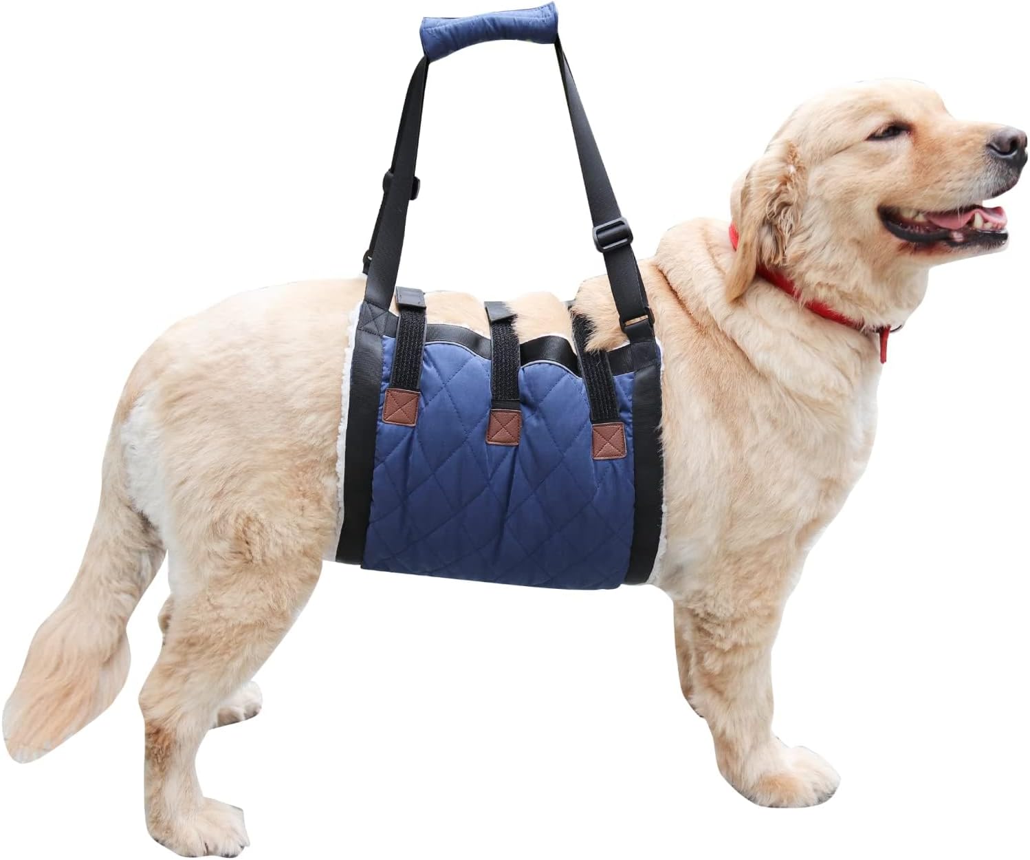 Wider Dog Lift Harness with Handle Help Elderly Canine Back Leg Disabled, Older Dogs Lifter Front or Rear Knee Brace for Torn ACL, Recovery Sling for Hind Hip Support, Extra Large