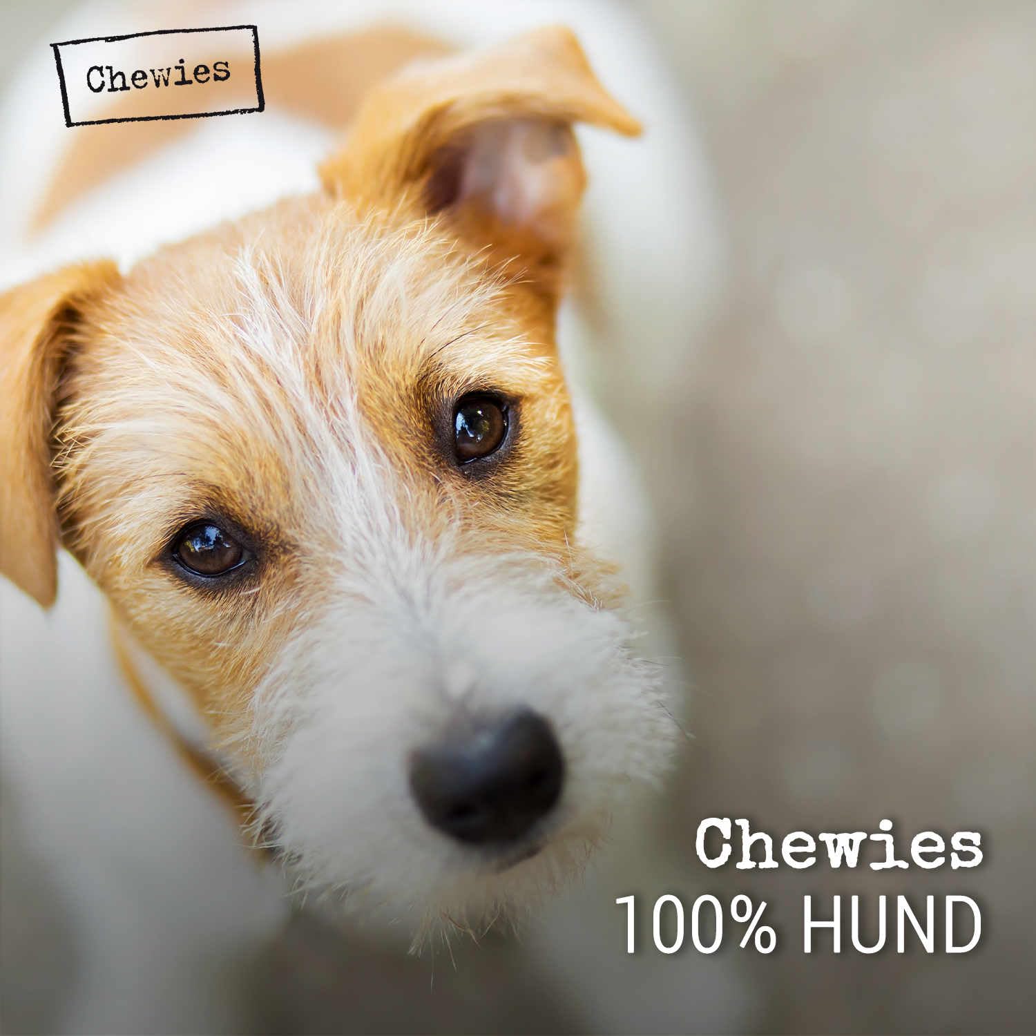Chewies Hundeleckerli Mix-Paket, Training Mini Knöchelchen 18 x 125 g für Hunde - Rind, Pansen, Geflügel, Lamm, Wild & Lachs Trainings-Leckerli - Hundesnacks zuckerfrei & mit hohem Fleischanteil