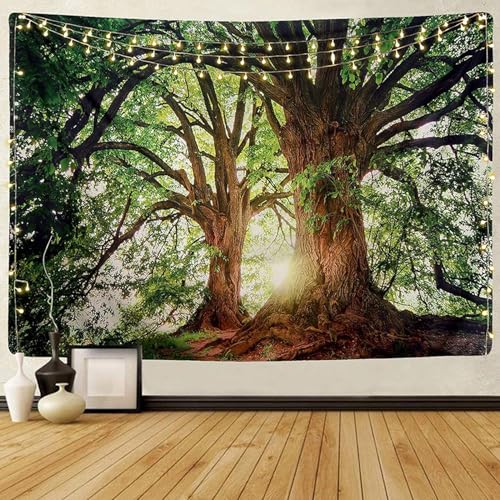 Ri Ǌ|  X z  Ǐ CeA _ z|X^[ p[eB[ X   Mtg j J[e  ͋C]  rO[ xbh[