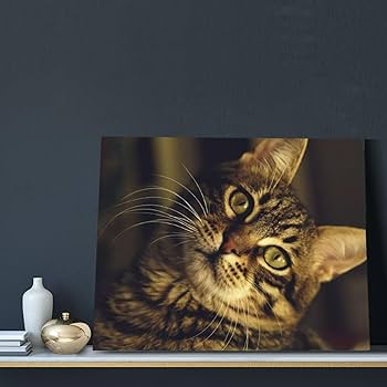 Amazon.co.jp: Chioee アートポスター フレーム 装飾画 首を