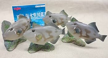 T*様 ユージン 原色図鑑シリーズ10 原色海水魚図鑑I 28個セット Amazon