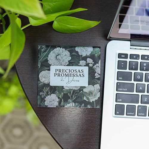 Preciosas Promessas de Deus - Com 220 versículos e Letras grandes - Mod.pp-03