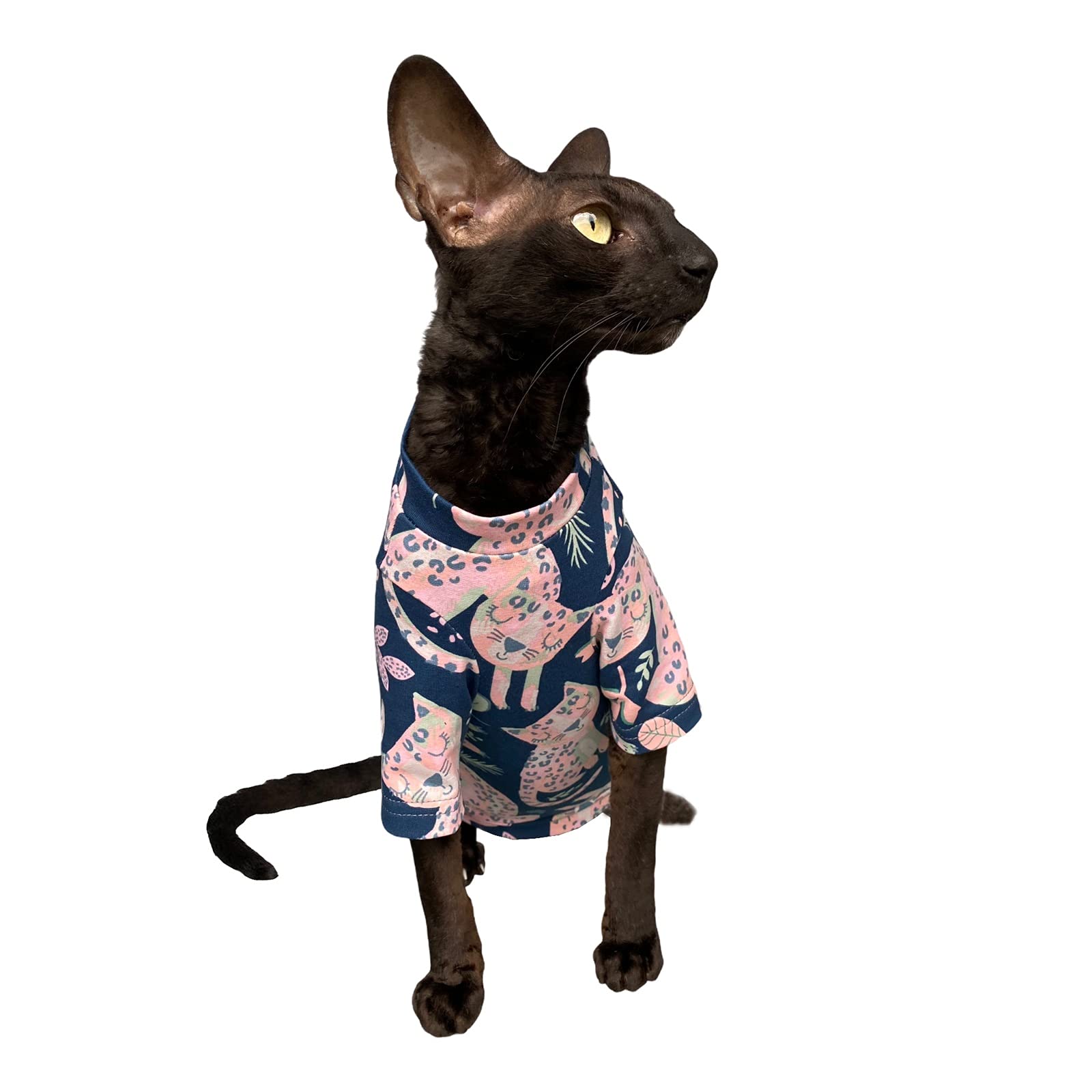 Kotomoda Suéter De Inverno Elástico De Algodão Para Gatos Sem Pelos. LÃ, image size:1600x1600