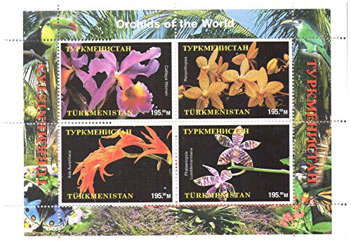 Exotic Flowers Orchids foglietto con 4 perforata Stamps / 1997 / Turkmenistan / MNH qualità perfetta
