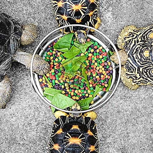 MoreJieka Syuantech Reptile Rock Voedsel en Water Dish Feeder Bowl voor Schildpad Water Schildpad (klein) (Maat: Large) - Afbeelding 3