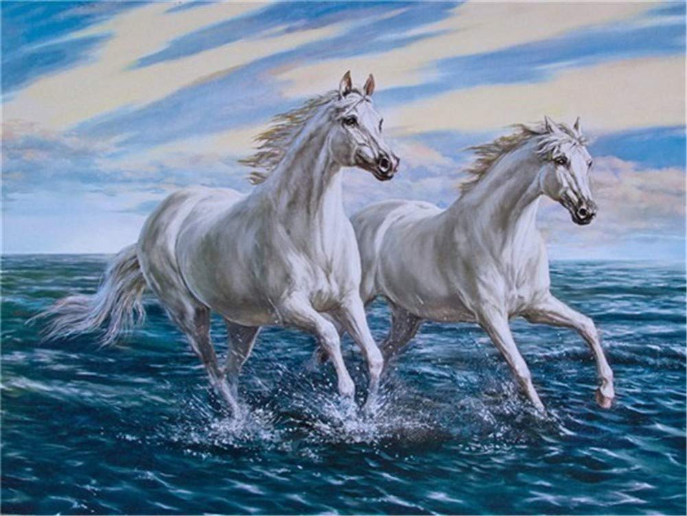 DIY 5D Diamante Pintura Bordado Kits Completo Caballo de playa Diamond Painting Adultos/Niños Rhinestone Punto de Cruz Diamante Arte Artesanía Casa Decoración de La Pared Round Drill,70x90cm/28x36inch