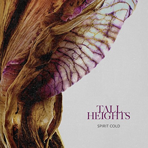 Tall Heights