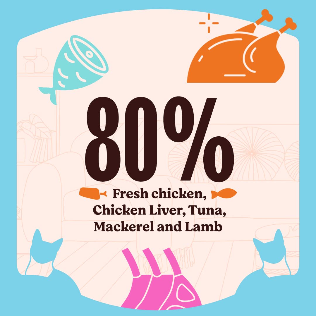 Kennel Kitchen Chicken with Tuna in Gravy, 70g (Pack of 12) | Wet Cat Food for Adult Cats and Kittens | Premium Cat Gravies with Natural Ingredients | Preservative Free 2