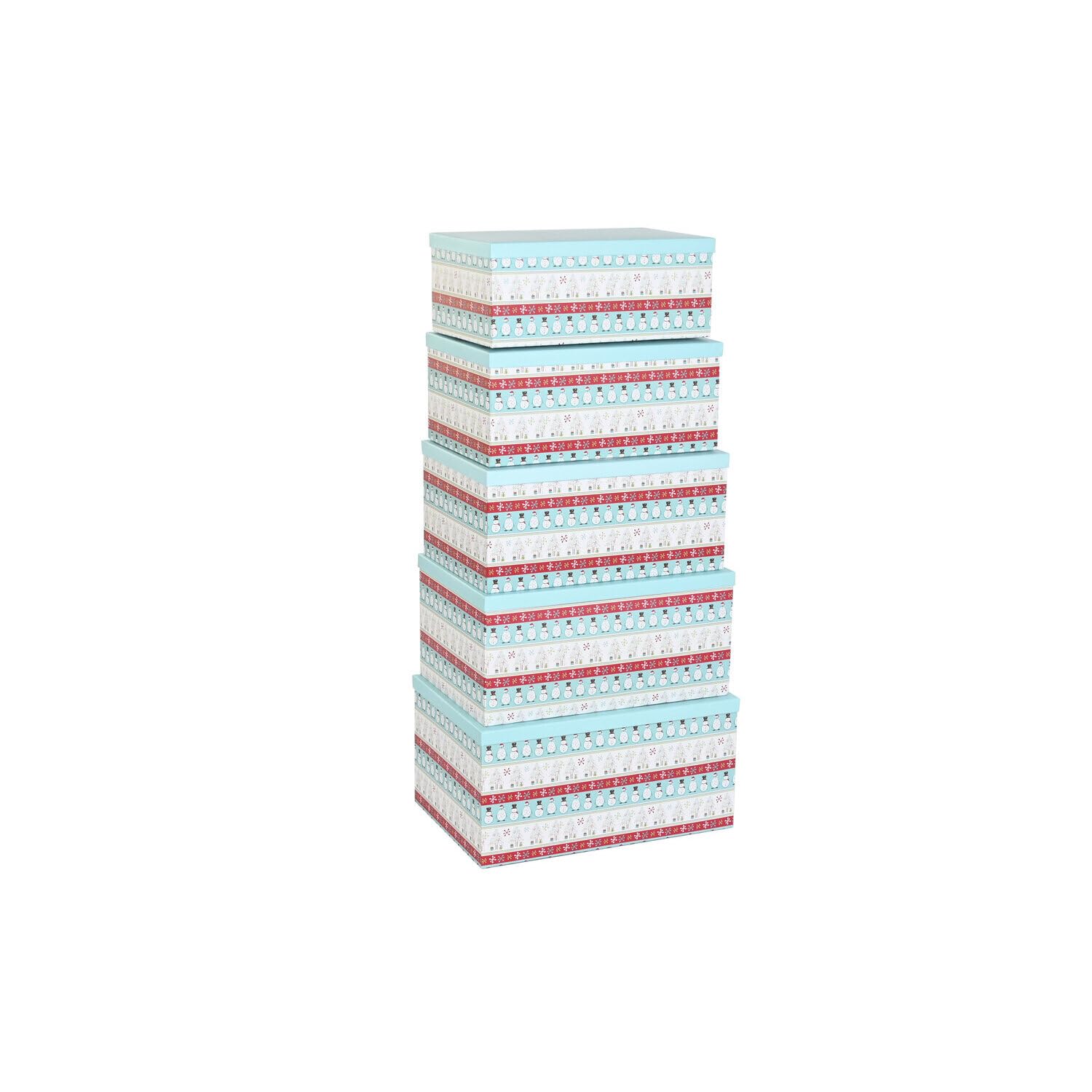 Carton 50x35x25 cm lot de 5 boîtes de rangement CAJA SET multicolor