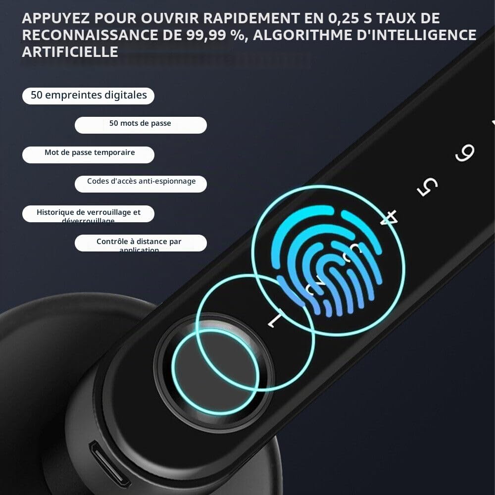 Serrure de porte intelligente à empreintes digitales avec poignée de clavier pour maison, appartement, bureau, porte d'entrée, chambre à coucher, serrure de porte d'entrée sans clé