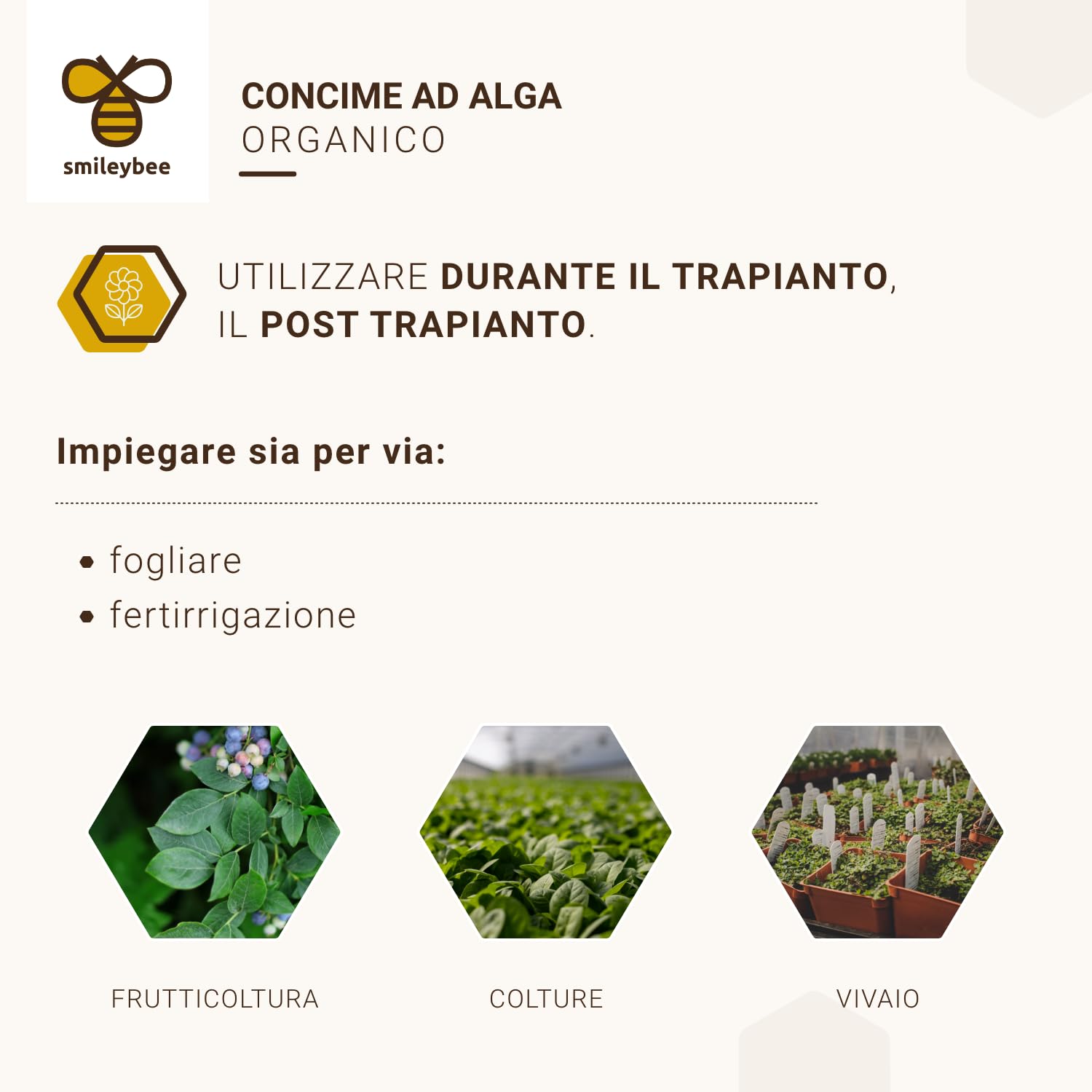 Algirosso Biostimolante 100% Biologico per Piante - Concime Alga Fertilizzante, Aumenta l'Energia Germinativa e Incrementa l'Attività delle Radici - 5 Litri