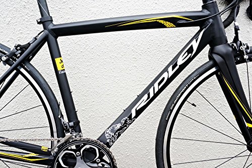 RIDLEY FENIX AL 2016年モデル 2016モデル】RIDLEY 『FENIX AL』 | 新宿でスポーツサイクル