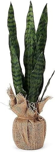 Elements Planta de serpiente en maceta de arpillera para baño, granja, centro de mesa de vegetación sintética, mantel de mesa, escritorio de