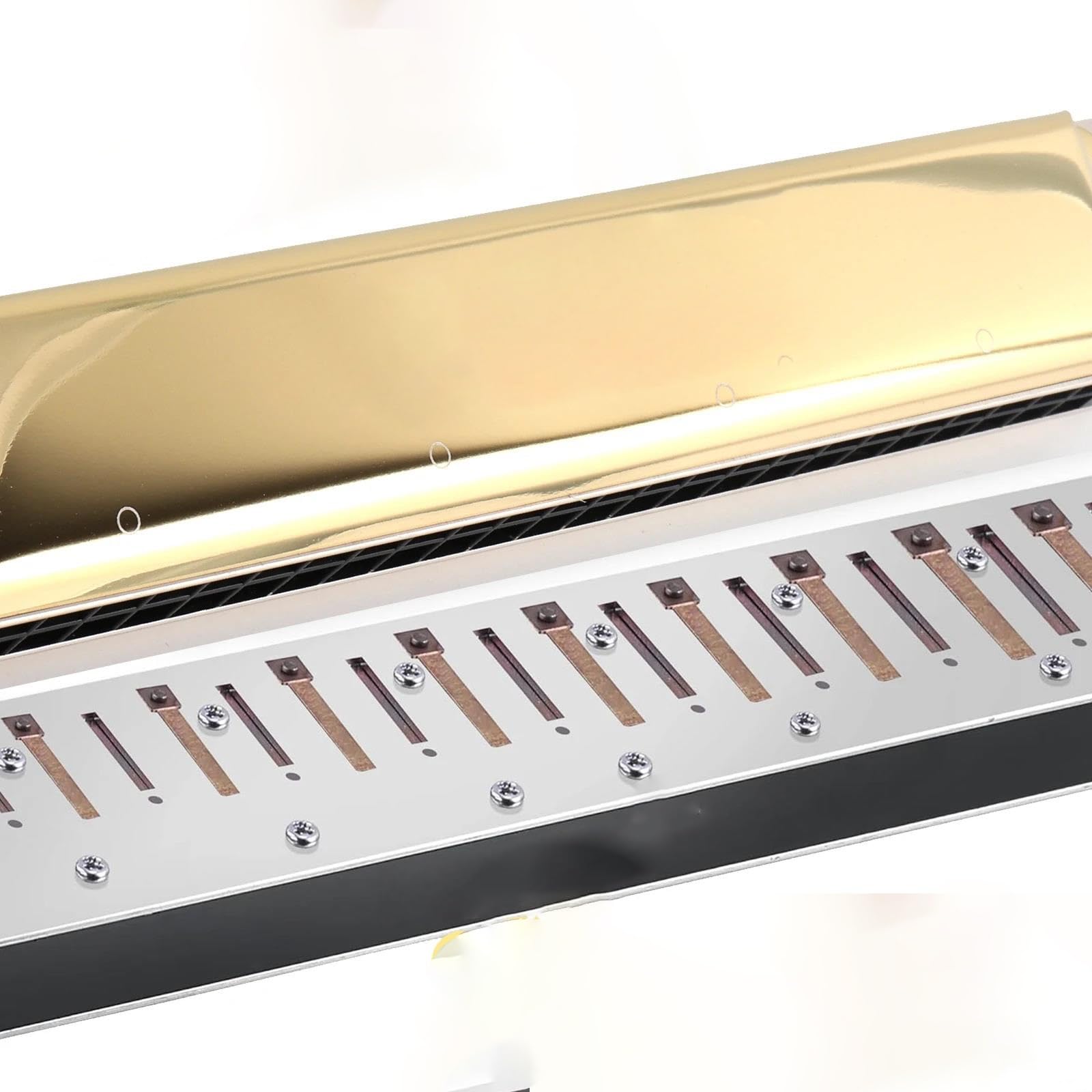 Armonica Blues Armonica Polifonica Chiave C 24 Fori | Armonica polifonica chiave C 24 fori armonica a bocca tremolo professionale(Silver)