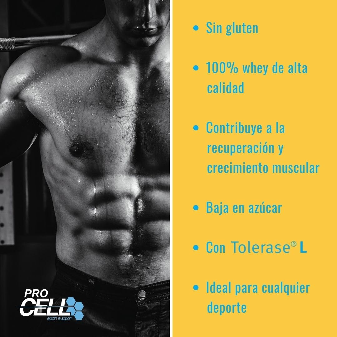 ProCell Proteína Whey 1,8Kg 100% Proteína de Suero Concentrada (Chococao) Con BCAA y Glutamina, Sin Gluten, Sin Lactosa y Bajo en Azúcares (60 Servicios)