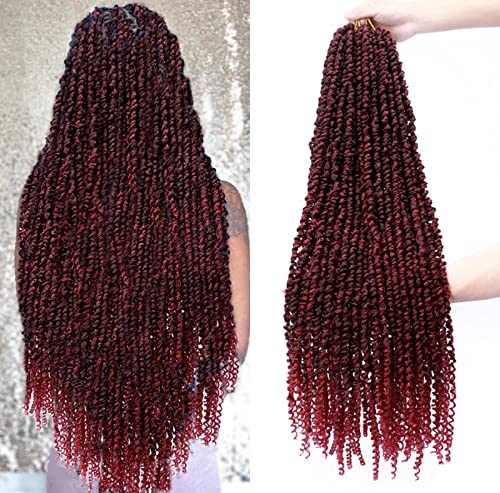 Ombre Red 30 inch Passion Twist Pre Twisted Crochet Hair 1Packs Burgundy Passion Twists Braiding Hair Water Wave Pre Looped Passion Twists Braids for Black Women (Tbug,30inch,1pack) -  Flagship, YFS-1p30inch-pretwist passion-TBug