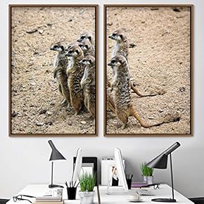 signwin 2 Piece Framed Canvas Wall Art Curious...