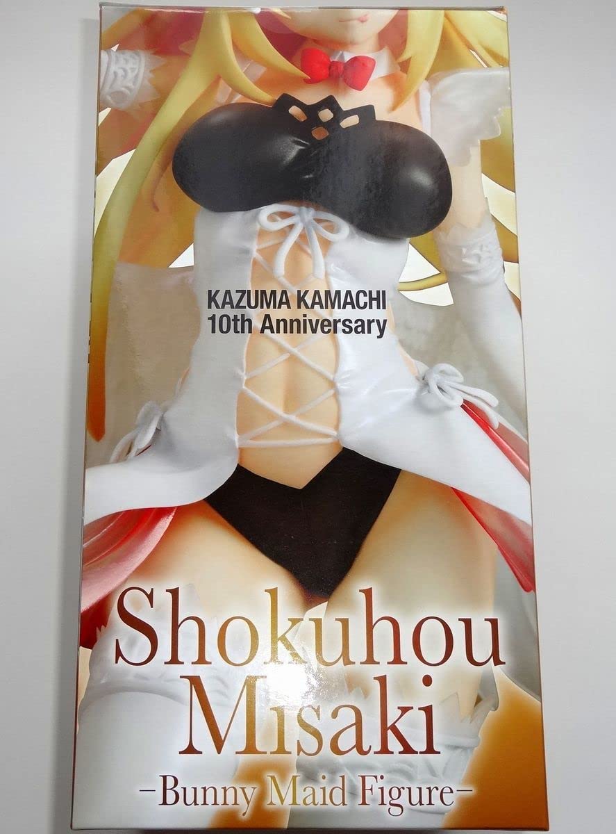 Amazon.co.jp: 特典 小説付き とある魔術の禁書目録 食蜂操祈