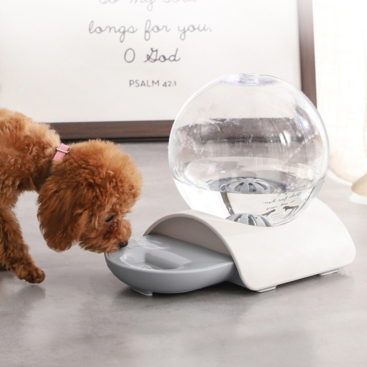 Hemobllo 2,8 Liter Automatischer Wasserspender Automatische Wasserabgabe Transparent Abs/acryl Siphon Prinzip für Haustiere für Hunde und Katzen für Draußen und Zoofachhandel