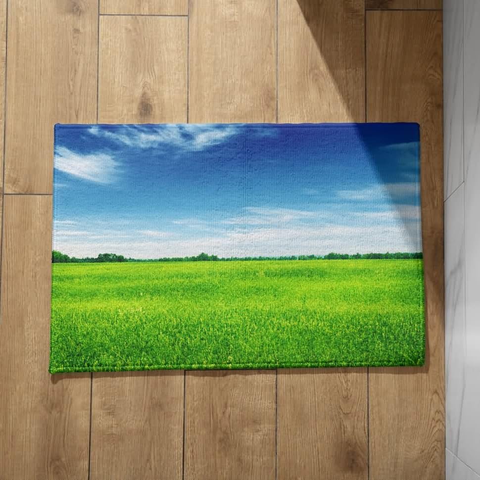Tapis moquette entrée intérieur extérieur et grand paillasson nature 45x75
