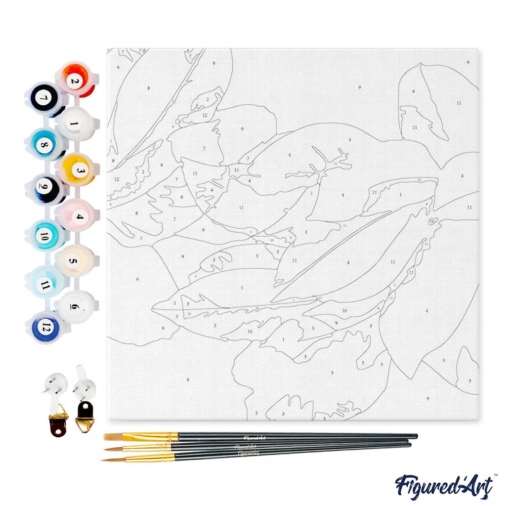 Pittura Con I Numeri MISCER Per Adulti E Bambini – Kit Fai Da Te Paesaggio Fiori – Tela 20x20cm - 3