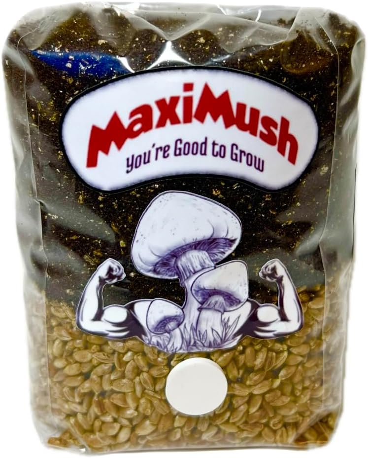 Mushroom Grow Kit! Magic Grow Bag for Mushrooms! (Original 2Lbs.) Grain, Substrate, and Injection Port All-in-One! The Good to Grow Kit!