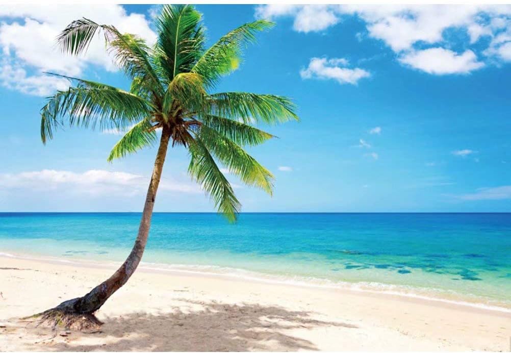 DASHAN 12x8ft Summer Ocean Tropical Beach Backdrop Hawaiian Luau Party Sea Sailor Beach Birthday Bridal Shower Photography Background Sandbeach Palm