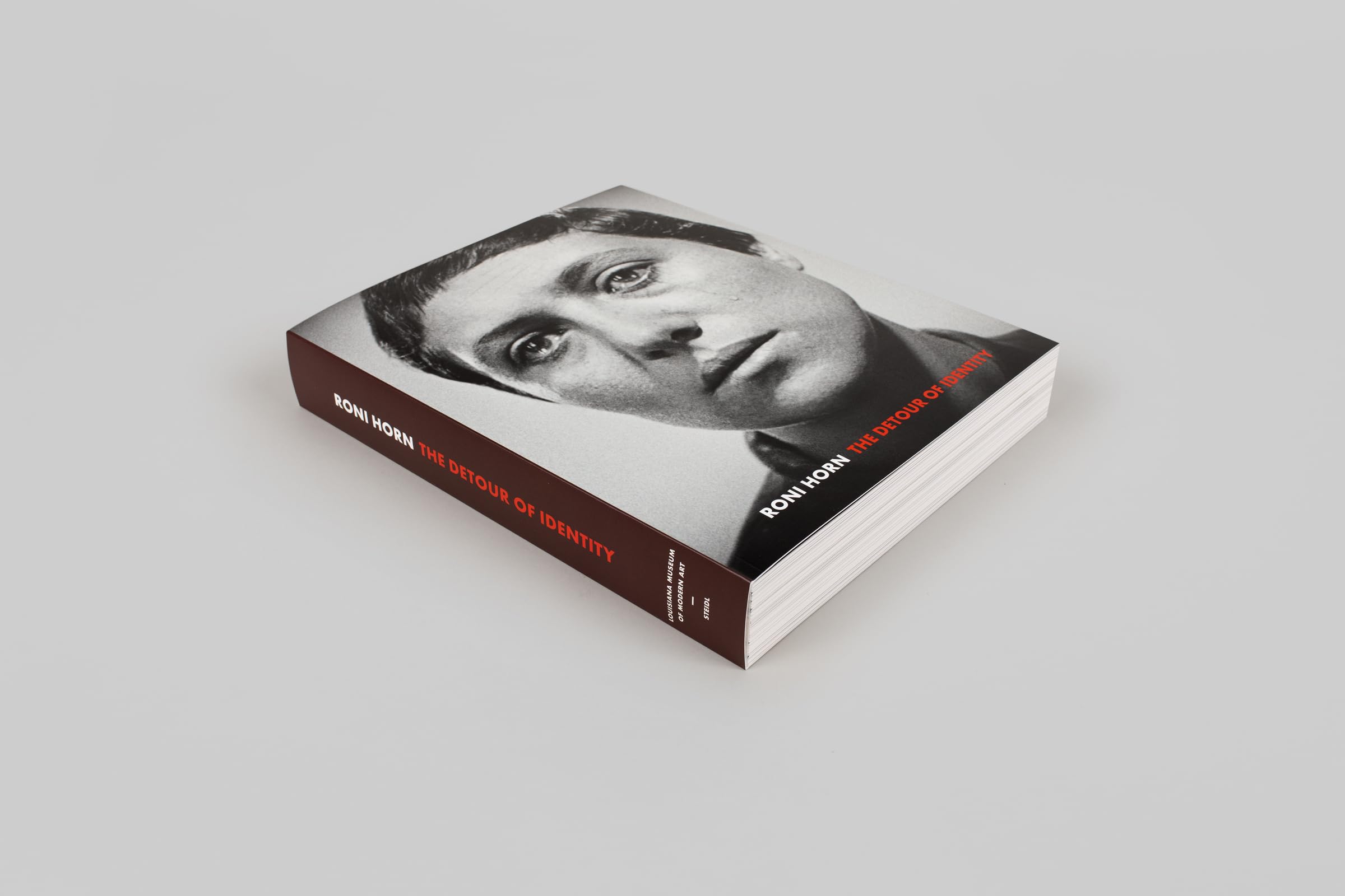 Amazon.com: Roni Horn: books, biography, latest update