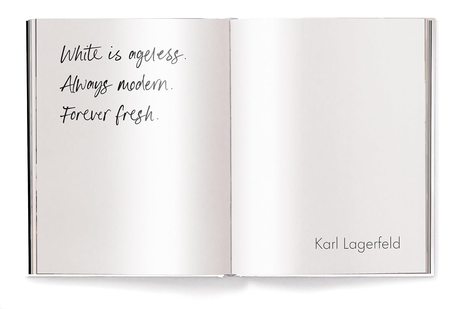 The White Book (Fashion, Styles & Stories)