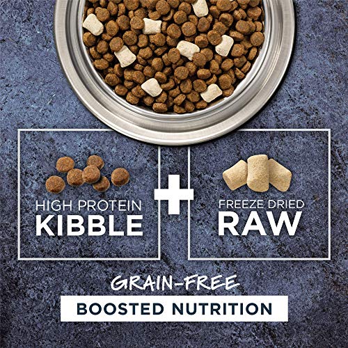 Instinct Raw Boost Grain Free Dry Dog Food, High Protein Real Chicken Kibble + Freeze Dried Raw Dog Food, 21 Lb. Bag #TOP2