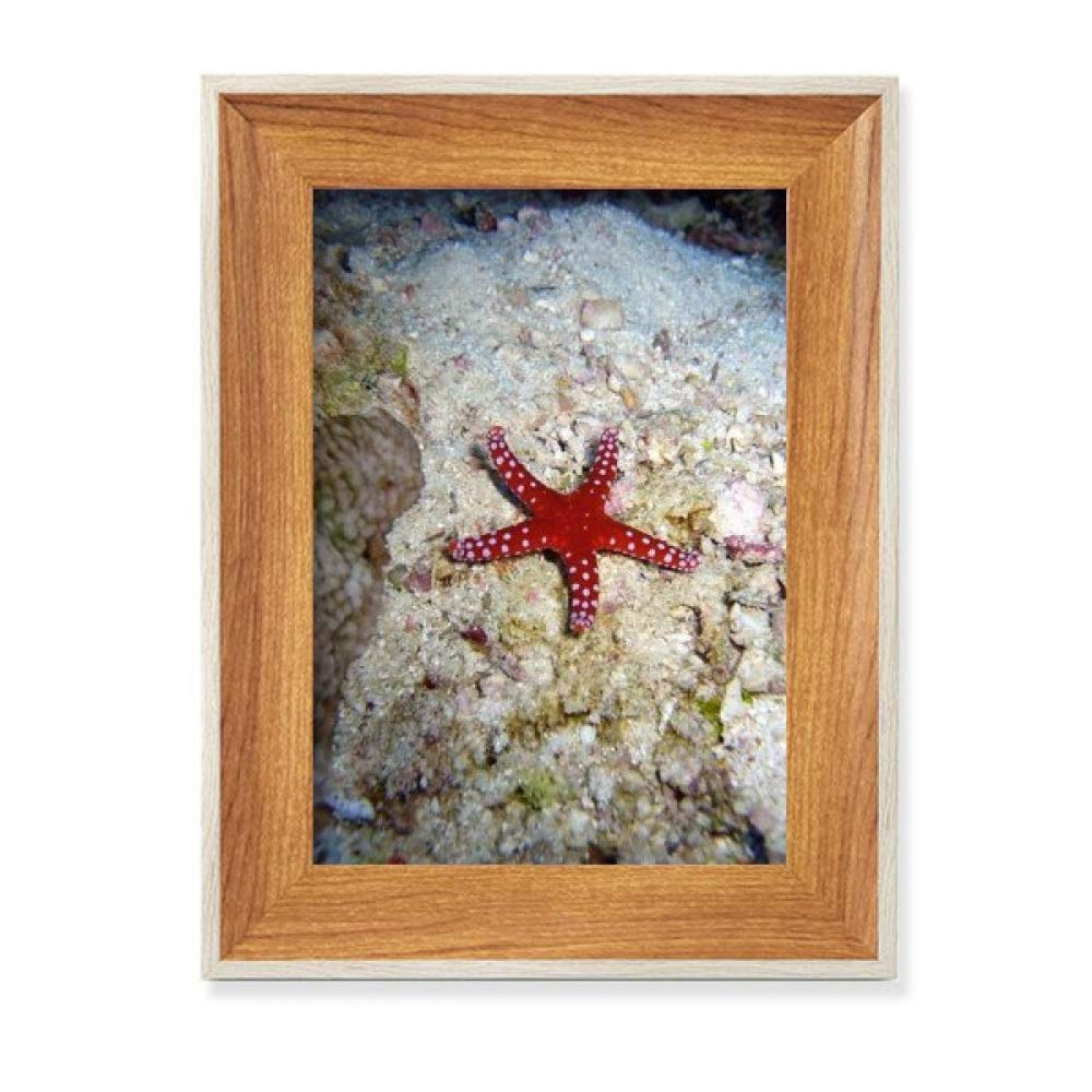 Cadre de Photo en Bois de Bureau Étoile de Mer Tableau Art Peinture Nature Naturel