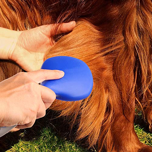 Both Winners Mane And Tail Brush For Horses And Dogs With Soft Touch Grip (Blue) #TOP6