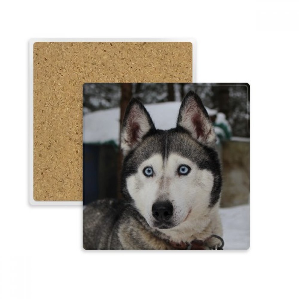 Dessous de verre Husky pour vos pauses café et moments cocooning