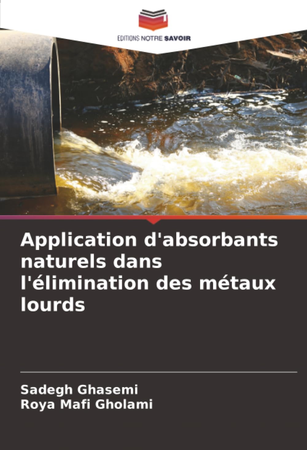 Application d'absorbants naturels dans l'élimination des métaux lourds